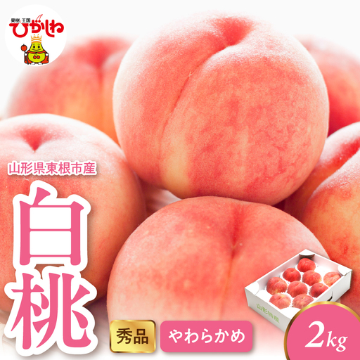 2026年産 白桃 柔らかめ 2kg 秀品 白桃