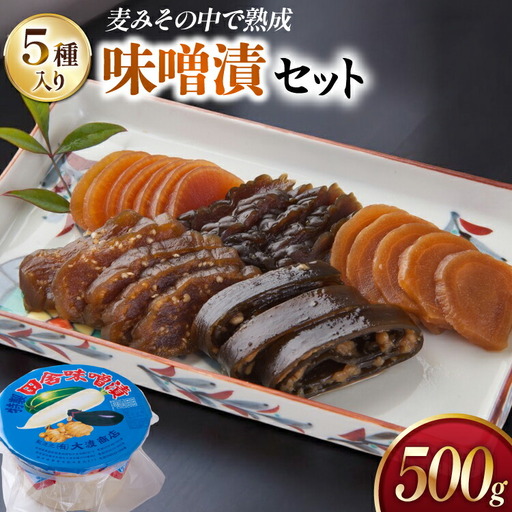 味噌漬け 詰め合わせ 田舎味噌漬け 5種 500g