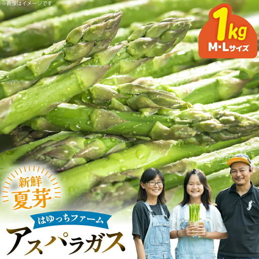 アスパラ アスパラガス 夏芽アスパラガス 1kg M L サイズ混合