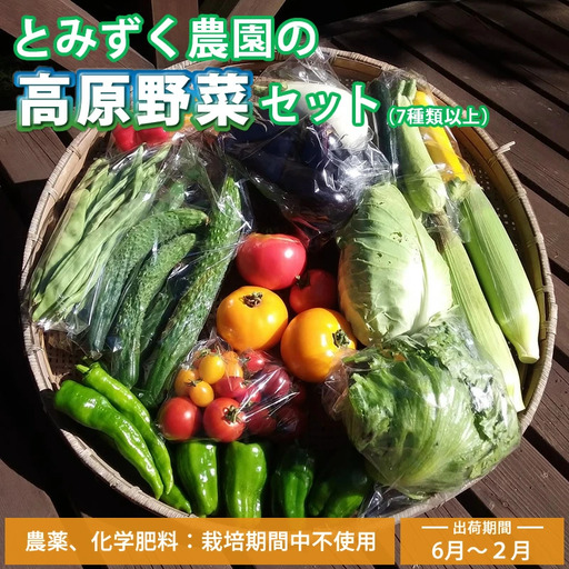 【6月～2月出荷】産地直送！旬の高原野菜セット(北海道・沖縄県・離島は配送不可) 長野 信州 無農薬 旬 季節 新鮮 詰合せ 直送 先行予約＜出荷時期2026年6月17日以降出荷開始～2027年2月28日出荷終了＞
