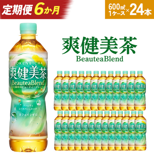 【6か月連続お届け】爽健美茶　600ml PET×24本　【04301-0697】
