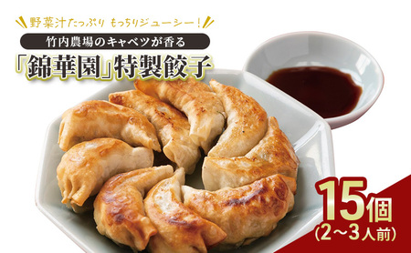 ボリューム満点 手作り冷凍餃子 15個（2～3人前）×1袋［錦華園］【 野菜 キャベツ たっぷり 厚い 手包み 手作り もちもち モチモチ 汁 町中華 中華 北海道 十勝 幕別 】