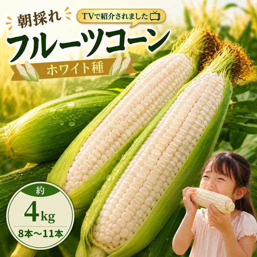 【2027年先行予約】 フルーツコーン ホワイト 4kg (約8～11本)  とうもろこし