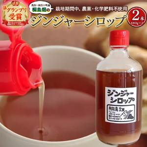 栽培期間農薬・化学肥料不使用の生姜で作った「桐島畑のジンジャーシロップ」480g×2本 /生姜 しょうが 生姜シロップ 無農薬 ジンジャエール おすすめ