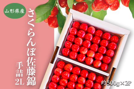 【2026年発送】「秀品」さくらんぼ佐藤錦1kg（2L玉以上・化粧箱・贈答用手詰）_H038(R8)