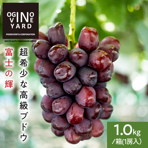 【2026年秋収穫先行予約_9月中旬～発送】 山梨県産 富士の輝1.0kg/箱 1房入　ALPAK018