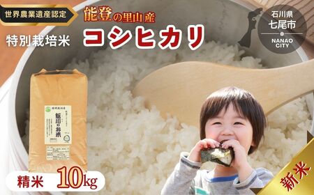 米 /能登のコシヒカリ 飯川のお米 10kg(精米10kg×1袋)特別栽培米 ※2026年10月〜発送 石川県 七尾市