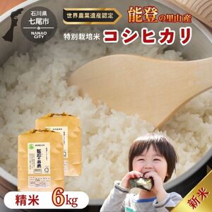 [能登半島地震復興支援]米 /能登のコシヒカリ 飯川のお米 6kg(精米3kg×2袋)特別栽培米 石川県 七尾市 能登 ※2026年10月〜発送