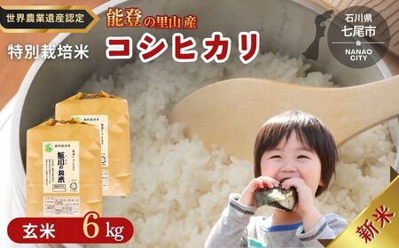 米 玄米 /能登のコシヒカリ 飯川のお米 6kg(玄米3kg×2袋)特別栽培米 ※2026年10月〜発送 石川県 七尾市