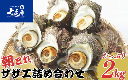 朝どれ旬のサザエ詰め合わせ（大2kg） | サザエ ※季節商品 ※2026年6月上旬～9月下旬頃に順次発送予定