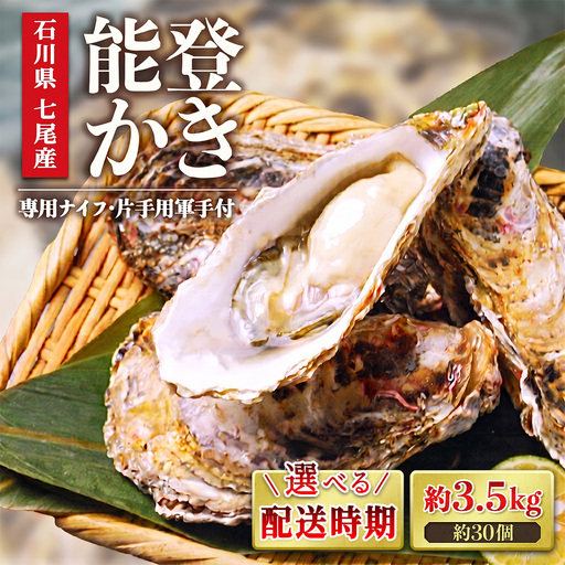 [能登半島地震復興支援][発送時期が選べる]魚介類 牡蠣 / 能登かき 殻付 牡蠣 約3.5kg(約30個)専用ナイフ・片手用軍手付 