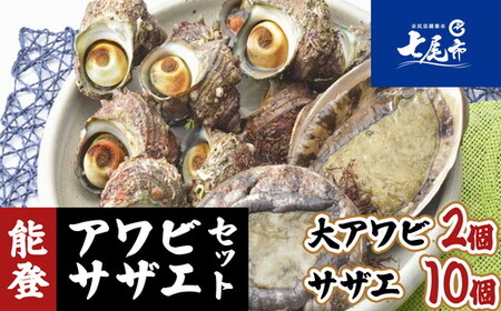 魚介類 /能登 朝どれアワビ・サザエセット(大アワビ2ヶ/サザエ10ヶ) 刺身 つぼ焼き 貝 ※季節商品 ※2027年6月〜発送