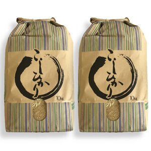 【能登半島地震復興支援】米 玄米 20kg /七尾産コシヒカリ 玄米20kg（10Kg×2袋） | 米 ※2025年10月下旬頃より順次発送予定