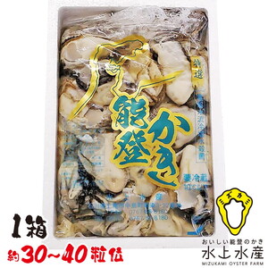 【能登半島地震復興支援】【発送時期が選べる】魚介類 牡蠣 / 水上水産の能登のかき むき身 約800g～900g入（30～40粒位） | 牡蠣 ※2027年1月～発送