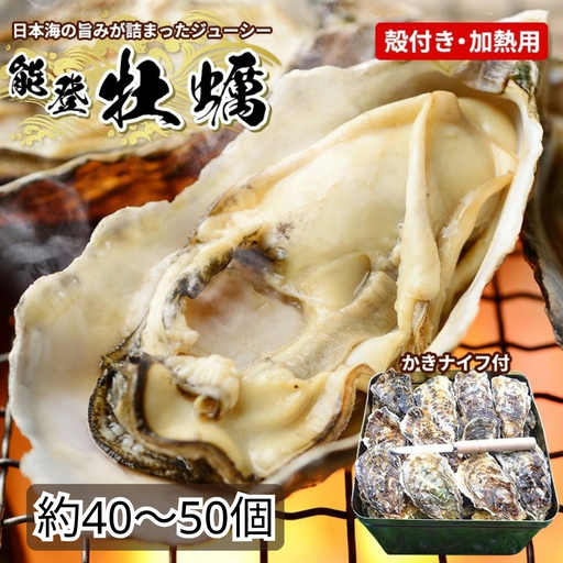 牡蠣 加熱用能登かき 殻付き・半斗缶[約40〜50個] | 牡蠣 ※2026年12月〜発送