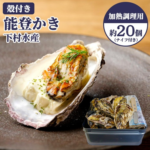 石川県七尾産 能登かき 殻付き(約20個) ※2026年12月〜発送
