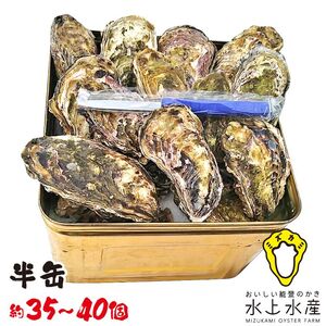 【能登半島地震復興支援】【発送時期が選べる】水上水産の能登のかき 半缶ガンガン焼き（約35～40個・ナイフ付） | 牡蠣 魚介類 訳あり 生活応援価格 ご家庭用 石川県 七尾市 ※2027年1月～発送