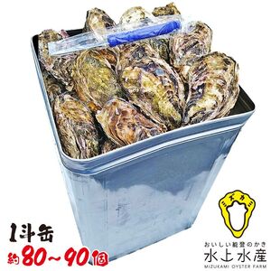 [能登半島地震復興支援][発送時期が選べる]水上水産の能登のかき 一斗缶(約80〜90個・ナイフ付) | 牡蠣 魚介類 訳あり 生活応援価格 ご家庭用 石川県 七尾市 ※着日指定不可 ※2027年1月〜発送