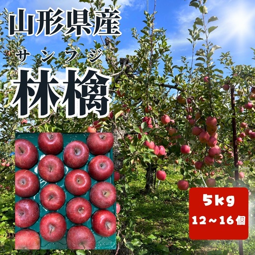 有機肥料栽培　葉とらずサンふじ　上山市産　５ｋｇ　大玉　１２～１６玉　0079-2626