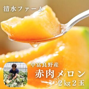 【2026年発送】中富良野産赤肉メロン2玉　計4kg 【BQ-004】