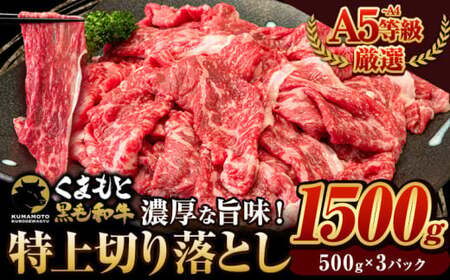 黒毛和牛 ウデ・モモ 特上 切り落とし 1500g 500g×3