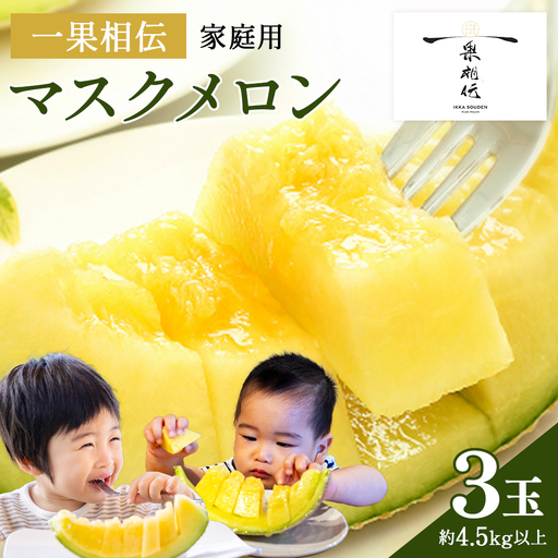 [訳あり]家庭用マスクメロン 3玉 メロン 青肉 tn-0029