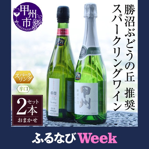[ふるなびWEEK対象]勝沼ぶどうの丘推奨スパークリングワイン辛口2本セット(KBO)B2-604-01