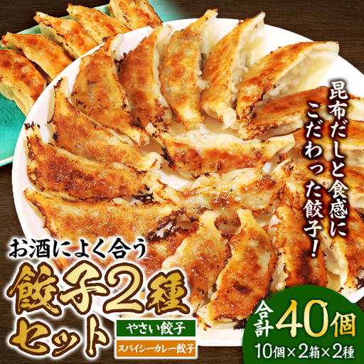 【食感と昆布だしにこだわり】 お酒によく合う餃子2種セット40個(野菜餃子1箱10個×2箱・スパイシーカレー餃子1箱10個×2箱) | 食べ比べ 詰め合わせ カレー餃子 野菜餃子 冷凍餃子 おつまみ グルメ お取り寄せ