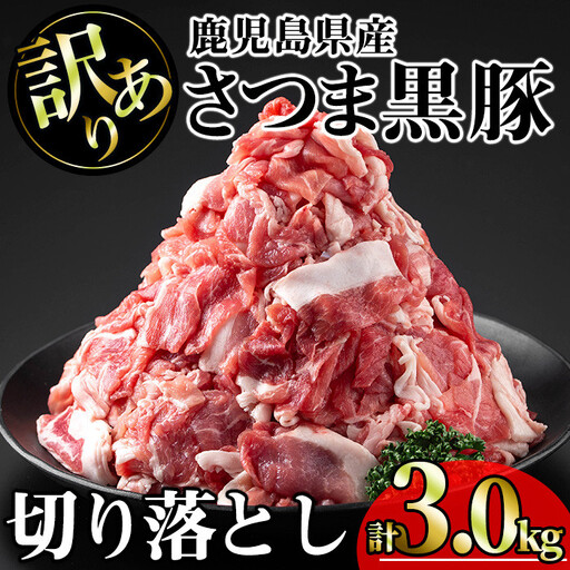 【訳あり】鹿児島県産 豚肉 さつま 黒豚 切り落とし (計3.0kg・250g×12P)【KNOT】 A693