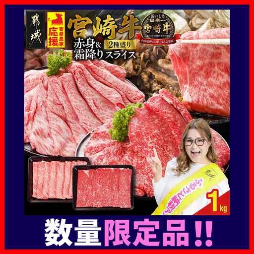 牛肉 宮崎牛 赤身&霜降り スライス 牛肉〔19-N2-001-1kg-S4A6〕