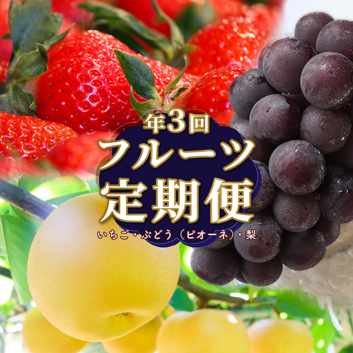 【ふるさと納税】＜フルーツ 定期便（全３回）＞ いちご ピオーネ ぶどう 梨 fruit 苺 おすすめ 旬 果物 くだもの 高知県 佐川町産【冷蔵】【常温】