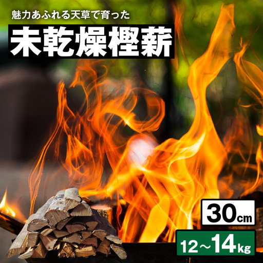 S163-010_魅力あふれる天草で育った未乾燥樫薪（天樫　長さ30cm　12～14kg）