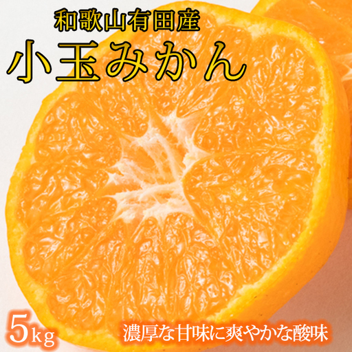 【ふるさと納税】 有田の小粒みかん5kg　(S〜3Sサイズ混合) ※2026年11月下旬頃～2027年1月下旬頃に順次発送予定(お届け日指定不可) / みかん ミカン 蜜柑 温州みかん 柑橘 フルーツ 果物 くだもの 和歌山【uot845】