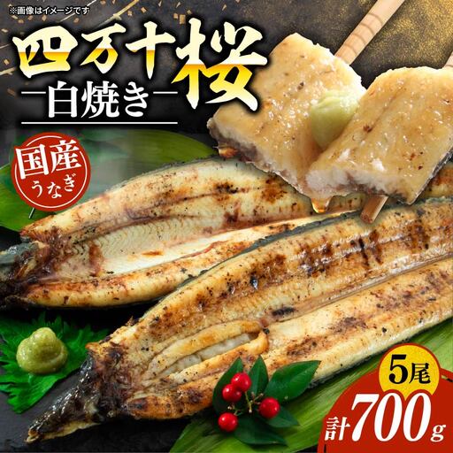 【通常用】極上国産うなぎ四万十桜　白焼き約140g×5尾 ＼ 完全無投薬白焼き ／