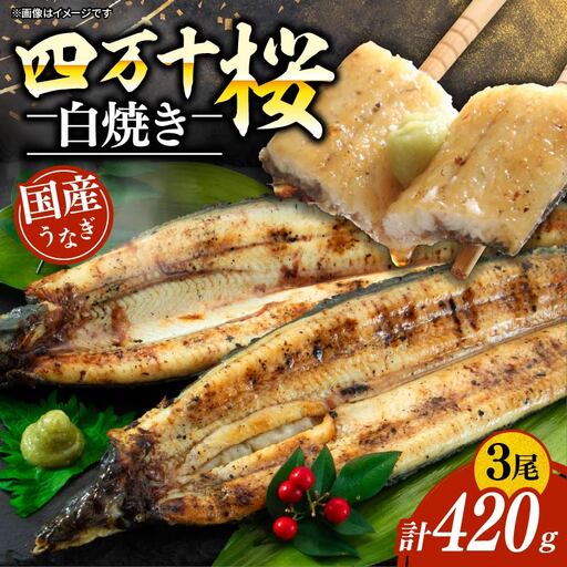 [通常用]国産うなぎ四万十桜 白焼き約140g×3尾 ＼ 完全無投薬白焼き/