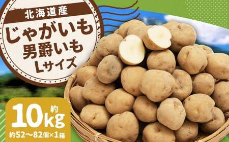じゃがいも 男爵 Lサイズ 約10kg×1箱 計約10kg (JA) ジャガイモ 芋 いも イモ 国産 [2026年9月下旬〜2027年2月下旬迄発送予定]