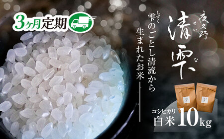 ＜3ヶ月定期便＞＜令和7年産＞ 京都夜久野産 清雫(せいな) コシヒカリ 白米 (10kg×3回) ふるさと納税 福知山市 令和7年度産 先行 定期便 選べる 容量 回数 白米 精米 夜久野 京都 【fc-DB006-C03】【合同会社夜久野清雫】