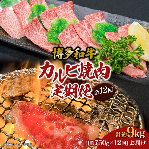 博多和牛 カルビ焼肉（バラ）定期便全12回 肉 お肉 焼肉 牛 牛肉 和牛 バーベキュー BBQ 焼肉 072-T111