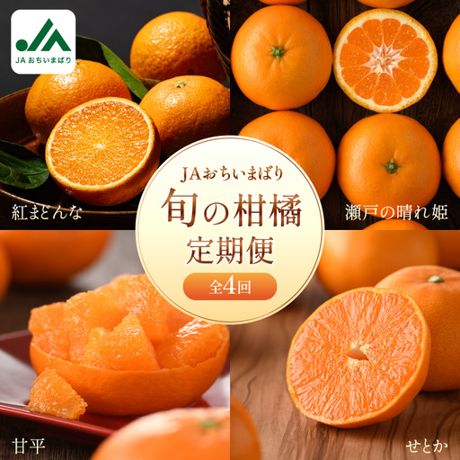 JAおちいまばり柑橘定期便(4回コース)[紅まどんな/瀬戸の晴れ姫/甘平/せとか]