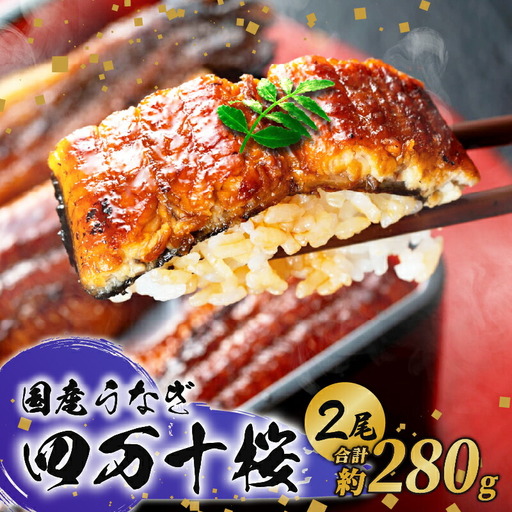 [通常用]極上国産うなぎ四万十桜 蒲焼き(140g×2尾) 完全無投薬 蒲焼き