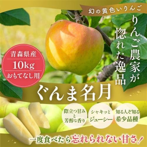 【11月より順次発送】青森県産りんご ぐんま名月 約10kg おもてなし用 平均糖度13度以上!_果物・フルーツ りんご  リンゴ 林檎_【配送不可地域：離島・沖縄県】【1609632】