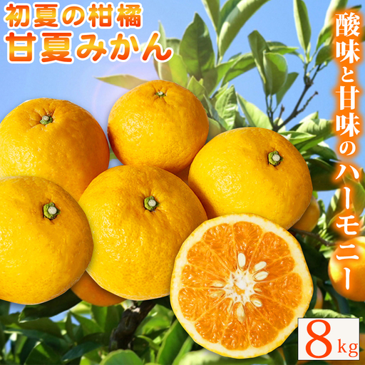 【ご家庭用訳あり】紀州有田産 すっきり爽やか 甘夏みかん 8kg  ※2027年3月中旬頃〜2027年3月下旬頃に順次発送予定 / 甘夏 あまなつ みかん ミカン 蜜柑 温州みかん 柑橘 フルーツ 果物 くだもの 和歌山【uot847】