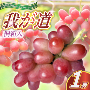 我が道 桐箱入り 1房 ＜2026年9月より順次発送予定＞ (県内共通返礼品:かすみがうら市産)  ギフト 贈答 フルーツ 果物 くだもの ぶどう ブドウ 葡萄 甘い 新鮮 季節限定 秋 期間限定 旬 旬の果物 季節の果物 茨城
 (BR099)