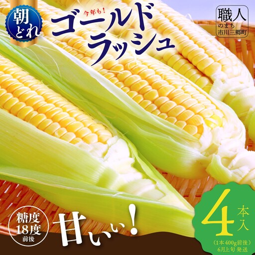 ゴールドラッシュ 4本入り[2027年6月上旬から発送] REGALO [5839-2207]