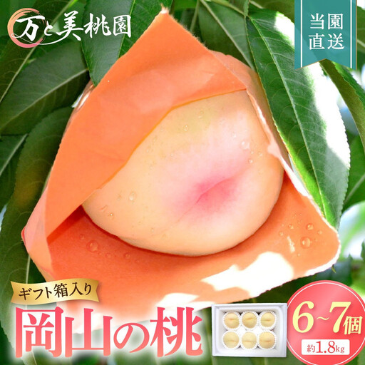 もも 2027年  桃 6-7個（約1.8kg）万と美桃園　岡山市