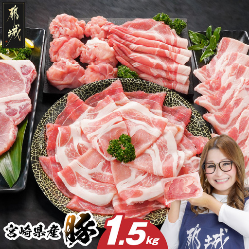 宮崎県産豚わくわく1.5kgセット(真空)〔11-84-002-1500g〕_(都城市) 豚肉 豚肉セット 宮崎県産豚 しゃぶしゃぶ バラ 焼肉 切り落とし 肩ローススライス ロース とんかつ ミンチ 使い勝手抜群 小分け 真空