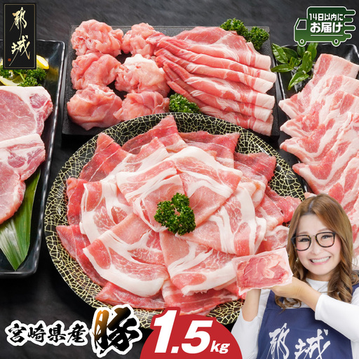 宮崎県産豚わくわく1.5kgセット(真空)≪みやこんじょ快速便≫〔11-84-002-1500g-R〕_(都城市) 豚肉 豚肉セット 宮崎県産豚 しゃぶしゃぶ バラ 焼肉 切り落とし 肩ローススライス ロース とんかつ ミンチ 使い勝手抜群 小分け 真空