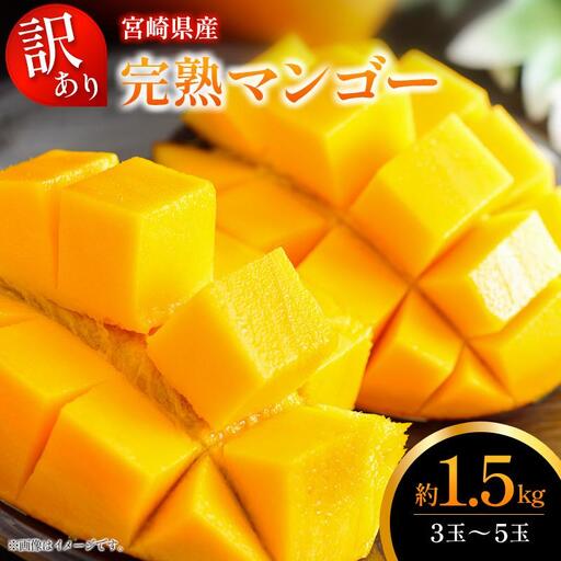 [2027年発送]訳あり 完熟 マンゴー 約1.5kg (3玉〜5玉) 宮崎県産 果物 フルーツ