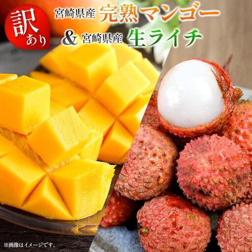＜2027年発送＞＜訳あり＞ 完熟 マンゴー 約1kg ＆ 生ライチ 300g 果物 フルーツ 宮崎県産 特産 セット