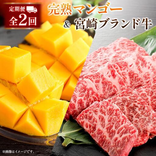 [2027年発送]定期便 完熟マンゴー 2L×2玉 & 宮崎ブランド牛 計1kg 全2回 宮崎特産 牛肉 フルーツ 果物
